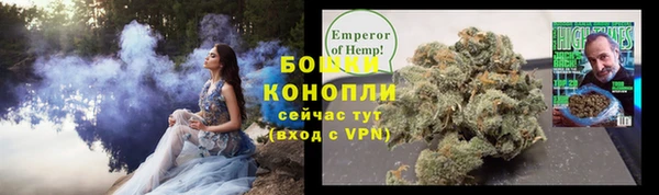 МДПВ Вяземский