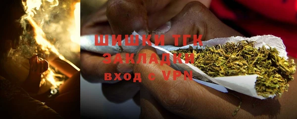 МДПВ Вяземский