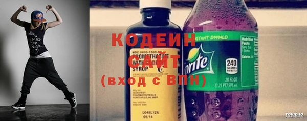 МДПВ Вяземский
