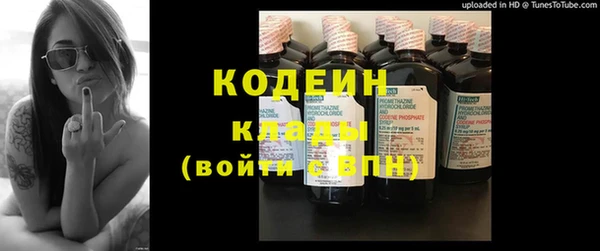 МДПВ Вяземский