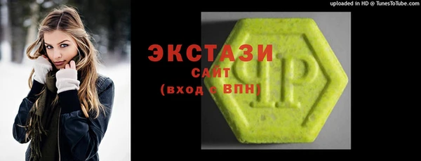 МДПВ Вяземский