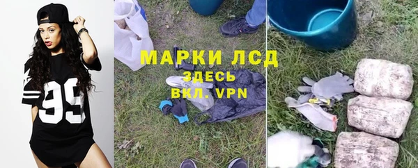МДПВ Вяземский