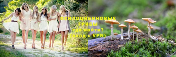 МДПВ Вяземский