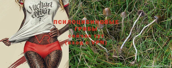 стафф Вязники