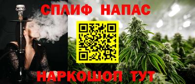 прущие грибы Моздок