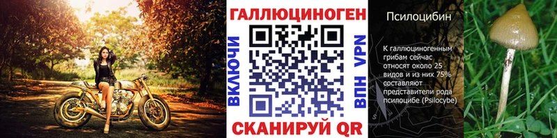 гидра зеркало  Фрязино  Псилоцибиновые грибы Psilocybe 