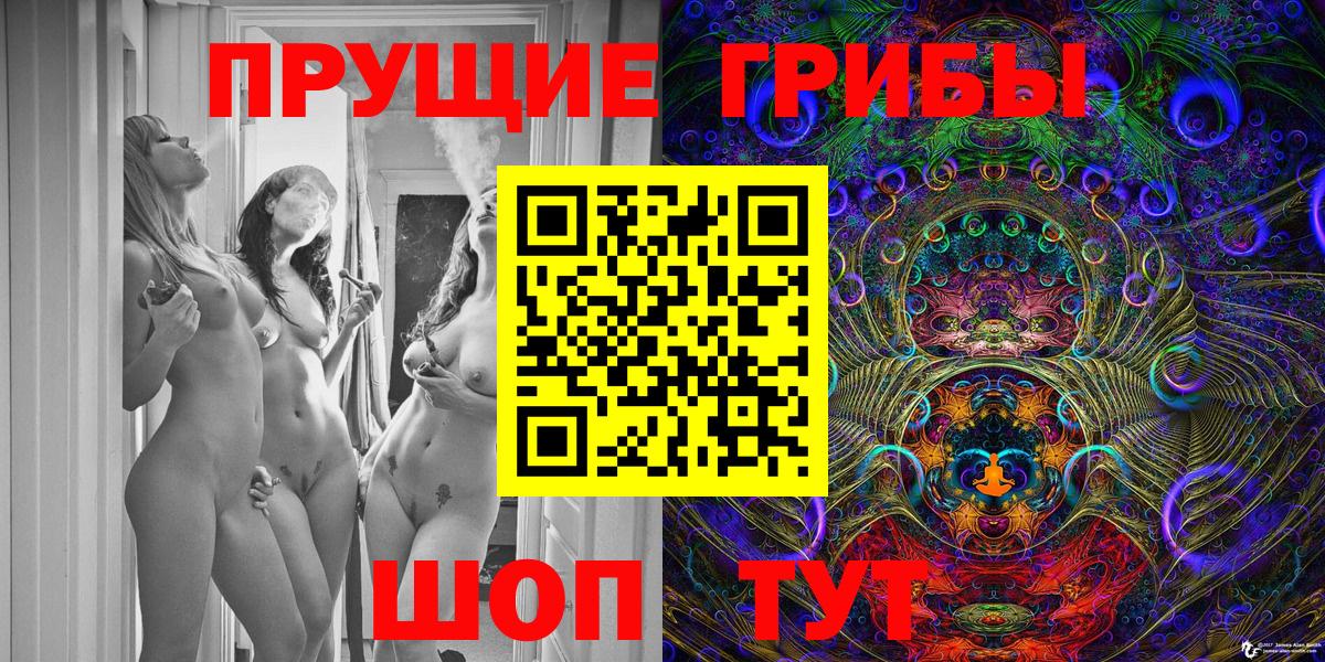 Галлюциногенные грибы GOLDEN TEACHER  даркнет сайт  Фрязино  Вход с VPN 