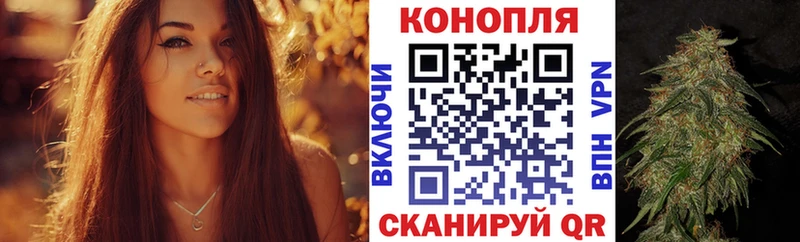 Шишки марихуана семена  Фрязино 